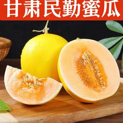 甘肃沙漠民勤蜜瓜金红宝金戈壁蜜瓜黄河黄金香瓜现摘新鲜水果蜜瓜