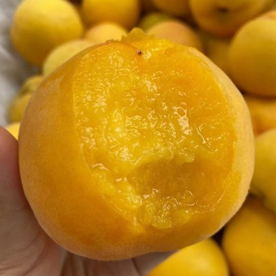 山东蒙阴金皇后黄桃黄金蜜桃新鲜水果脆甜桃子毛桃桃子脆甜桃当季图2