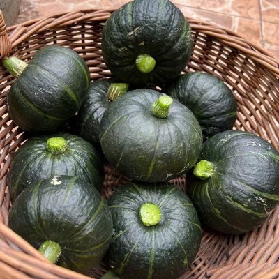贝贝小南瓜新鲜软糯甜宝宝辅食南瓜早餐瓜果蔬菜图4