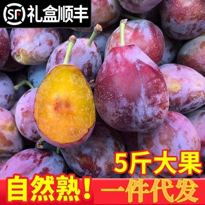 西梅新鲜5斤正宗喀什法兰西水果当季整箱顺丰包邮甜李子一件代发