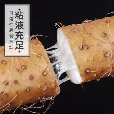 正宗铁棍山药5斤新鲜小白嘴山药铁杆淮山10斤非温县垆土一件代发图3