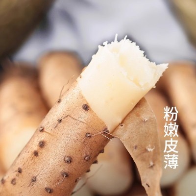 正宗铁棍山药5斤新鲜小白嘴山药铁杆淮山10斤非温县垆土一件代发图2