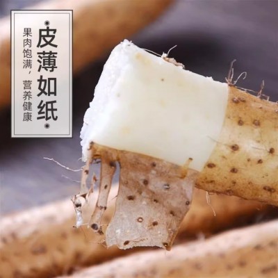 正宗铁棍山药5斤新鲜小白嘴山药铁杆淮山10斤非温县垆土一件代发图5