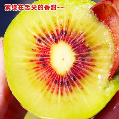 四川蒲江红心猕猴桃新鲜奇异果香甜大果整箱水果批发代发产地图3