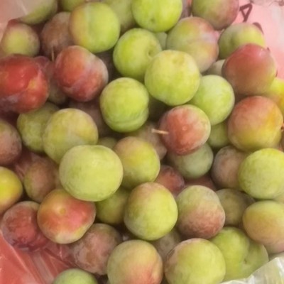 四川脱骨水蜜桃李子半边红茵红青脆李新鲜水果批发脆红黄金李包邮图5