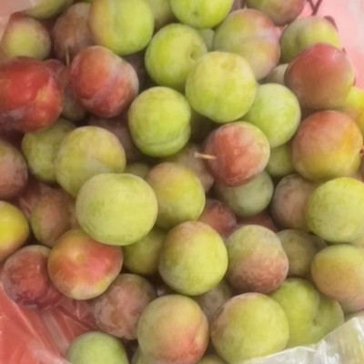四川脱骨水蜜桃李子半边红茵红青脆李新鲜水果批发脆红黄金李包邮图4
