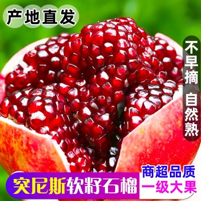 四川会理突尼斯软籽石榴新鲜水果批发5斤9斤现摘现发一件包邮