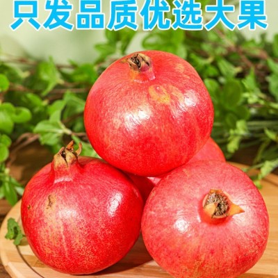 四川会理突尼斯软籽石榴新鲜水果批发5斤9斤现摘现发一件包邮图3
