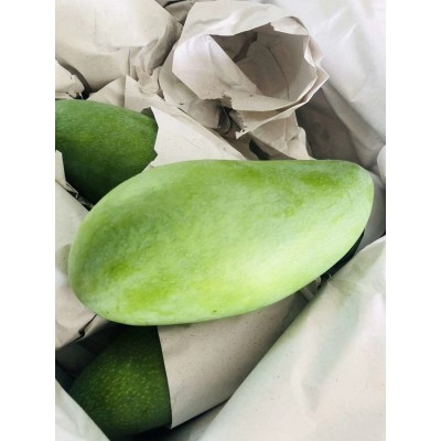 大青芒正宗大芒果青皮青皮金煌芒净果9斤图3