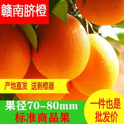 正宗赣南脐橙江西橙子新鲜赣南脐橙赣州正宗产地直发10斤装图2