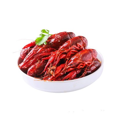 洪湖渔家麻辣小龙虾裸包装750g 3-5钱商用冻货海鲜批发图4