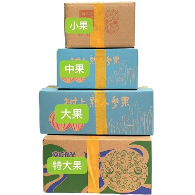 树上熟云南人参果 代发5斤应当新鲜人生果水果整箱产地直发人参果图4