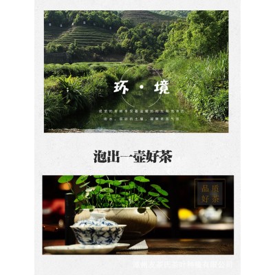 白芽奇兰绿茶高山茶叶平和浓香型乌龙茶新茶批发代发图3