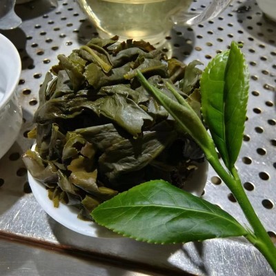供应安溪铁观音茶叶批发 厂家直销消正 水细 香纯自有茶园 可预订图4
