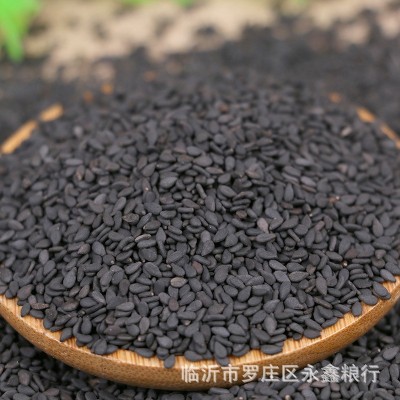 大量现货批发生黑芝麻 农家粮油作物黑芝麻 五谷杂粮袋装25公斤图3