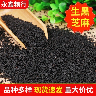 大量现货批发生黑芝麻 农家粮油作物黑芝麻 五谷杂粮袋装25公斤图2