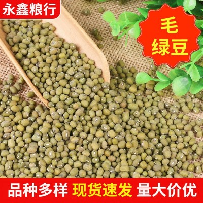 笨绿豆毛绿豆批发 50斤袋装五谷杂粮绿豆 糕点馅料八宝粥用毛绿豆