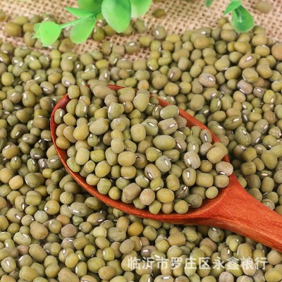 笨绿豆毛绿豆批发 50斤袋装五谷杂粮绿豆 糕点馅料八宝粥用毛绿豆图4