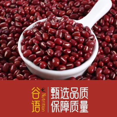红小豆500克真空包装易煮易烂易出沙东北新米五谷杂粮 红豆批发图3