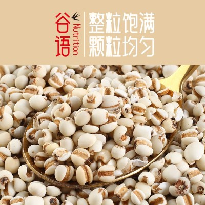 薏米500克真空包装新米红豆薏米茶原料五谷杂粮粗粮 薏苡仁批发图2