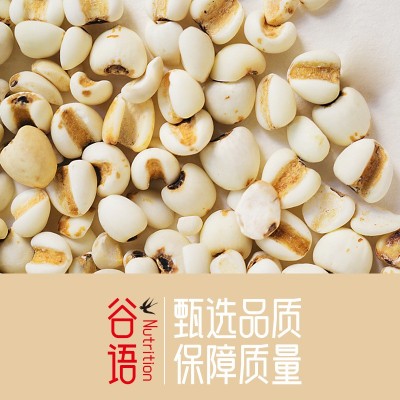 薏米500克真空包装新米红豆薏米茶原料五谷杂粮粗粮 薏苡仁批发图3