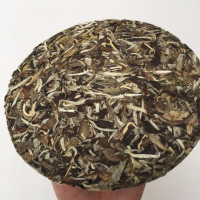 福建白茶饼陈年高山牡丹茶叶 白茶白牡丹茶饼 350g直供大量图2