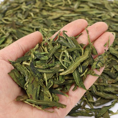 厂家直销新鲜早春茶 高山云雾龙井茶 松阳香茶 散装低档茶叶批发图2