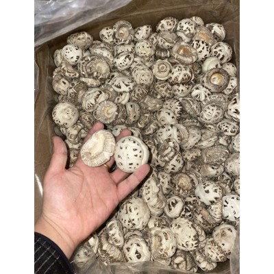 花菇干货新货批发白花菇散装肉厚净重冬菇蘑菇随州特产厚花菇香菇图5