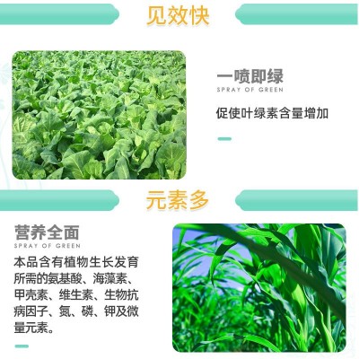 热卖 微量元素肥 一喷绿花卉果树蔬菜叶面肥黄叶变绿落叶死苗图2