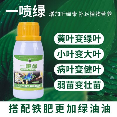 热卖 微量元素肥 一喷绿花卉果树蔬菜叶面肥黄叶变绿落叶死苗图3