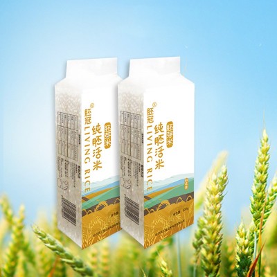 稻花香胚芽米东北大米宝宝粥米米饭真空包装500g/盒图3