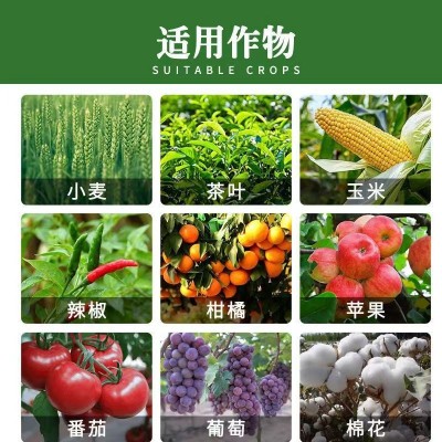 春雷霉素喹啉铜柑橘病芒果角斑病桃树穿孔病细菌性农药杀菌剂图2