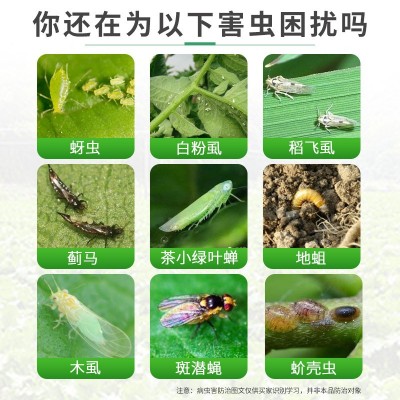 鑫惠 30%噻虫嗪稻飞虱杀虫剂图3
