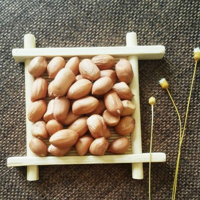 正阳花生米650g生花生米河南厂家货源新鲜大颗粒花生去壳花生果仁图4