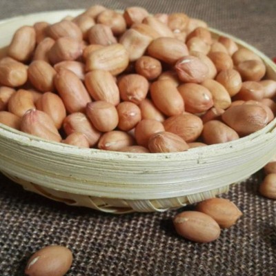 正阳花生米650g生花生米河南厂家货源新鲜大颗粒花生去壳花生果仁图3