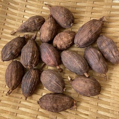 云南草果 草果新鲜草果卤肉炖肉 香料调味料批发零售图2