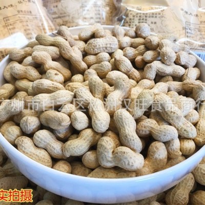 批发陈皮味花生陈皮花生小珍珠花陈皮花生坚果炒货5斤*2包图5