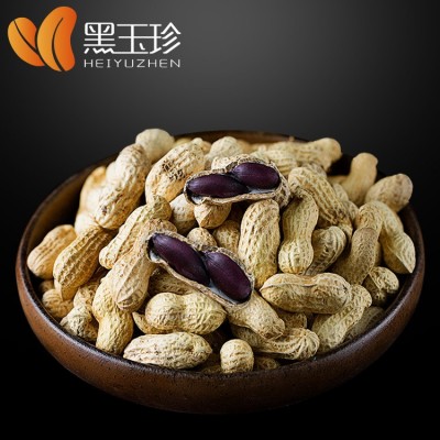 【黑玉珍黑花生3斤礼袋装】新货带壳黑皮原味蒜香特产坚果炒货图3