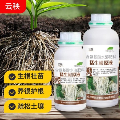 猛生根原液强力生根剂植物移栽扦插生根剂果树花卉水培通用生根肥图3