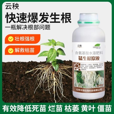 猛生根原液强力生根剂植物移栽扦插生根剂果树花卉水培通用生根肥图4