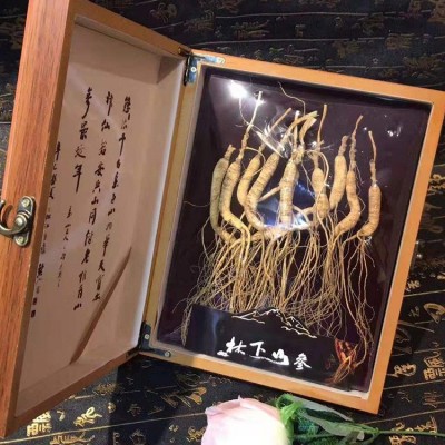 长白山林下参礼盒装 东北特产整支干人参山参泡酒生晒参图3