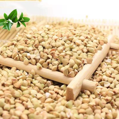 满榆荞麦米500g/盒真空包装 吉林东北特产五谷杂粮全胚芽荞麦米图2