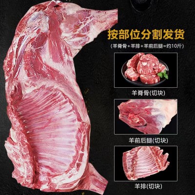 艾克拜尔 烧烤羊排 羊小腿 新鲜半只羊10斤羊肉整羊 工 厂直发图3