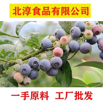 新鲜速冻蓝莓东北工厂批发速冻冷冻蓝莓鲜果果汁饮料果酱蓝莓原料图4