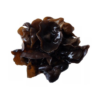 东北黑木耳地理标志产品黑木耳干秋木耳500g干货黑木耳大 片木耳图5