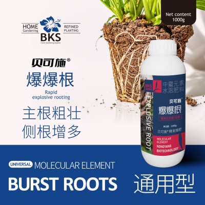 爆爆根快速生根液生根粉爆根发根扦插家用通用性图2