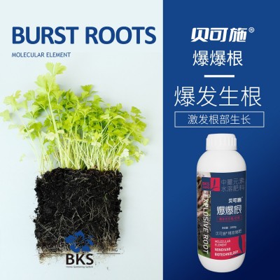 爆爆根快速生根液生根粉爆根发根扦插家用通用性图3