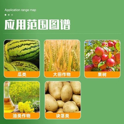 正品颗粒硼肥金弹子果树颗粒硼叶绿素叶面肥钙镁颗粒硼肥高级硼锌图3