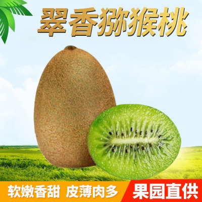 陕西周至绿心翠香猕猴桃奇异果应季时令新鲜水果猕猴桃一件代发图2