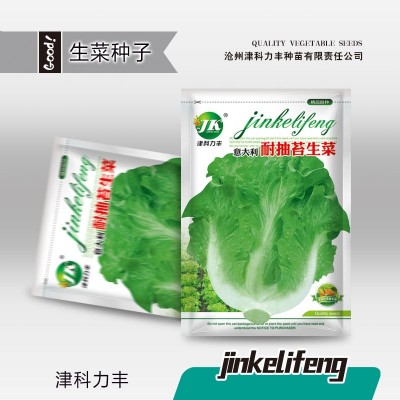 厂家批发意大利全年耐抽苔生菜种子四季甜脆半结球包心生菜籽种籽图2
